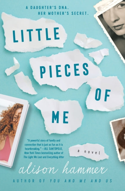 Little Pieces Of Me A Novel By Hammer, Alison