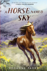 Horse Named Sky Pb
