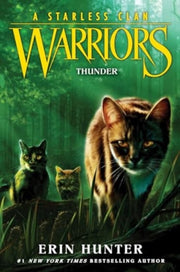 Warriors A Starless Clan Pb