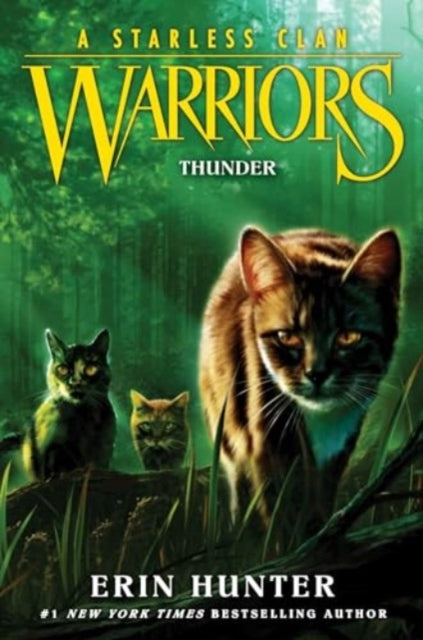 Warriors A Starless Clan Pb