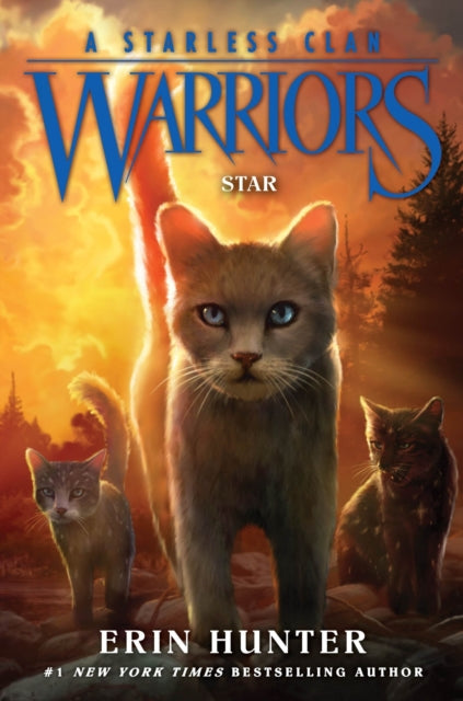 Warriors A Starless Clan Pb