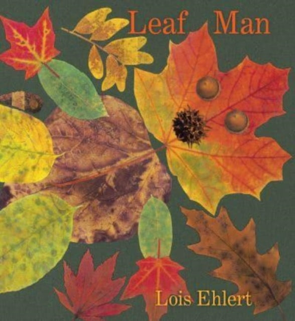 Leaf Man Board Book By Ehlert  Lois