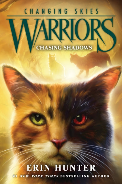 Warriors Changing Skies Hb
