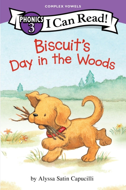 Biscuits Day In Woods I C Pb By Capucilli  Alyssa Sa