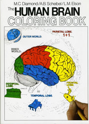 Human Brain Colouring Book