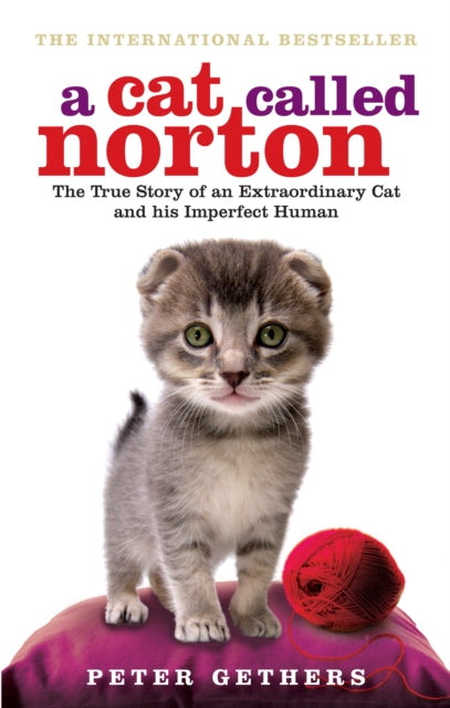 Cat Called Norton By Gethers, Peter