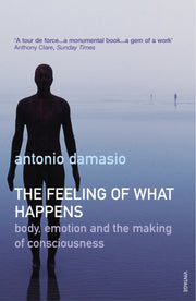 Feeling Of What Happens By Damasio, Antonio