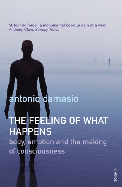 Feeling Of What Happens By Damasio, Antonio