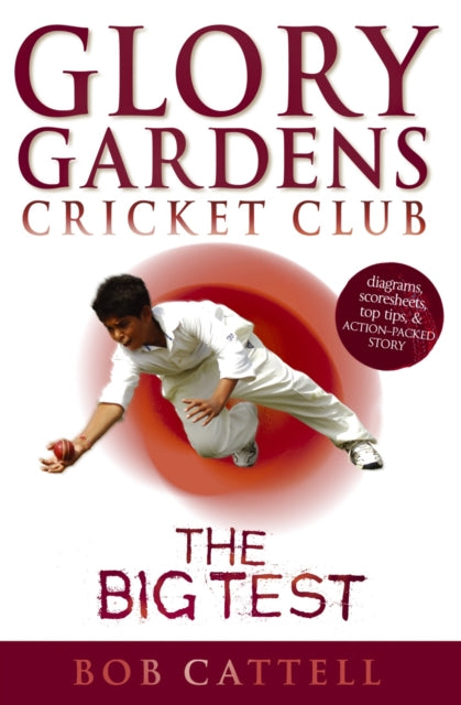Big Test 3 By Cattell, Bob