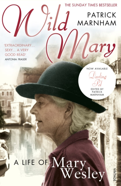 Wild Mary The Life Of Mary Wesley