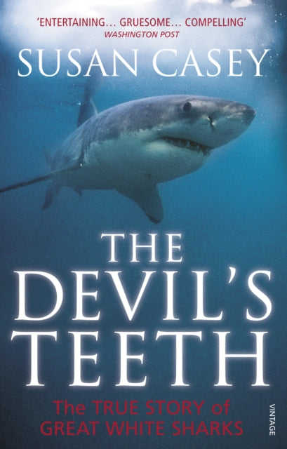 Devils Teeth