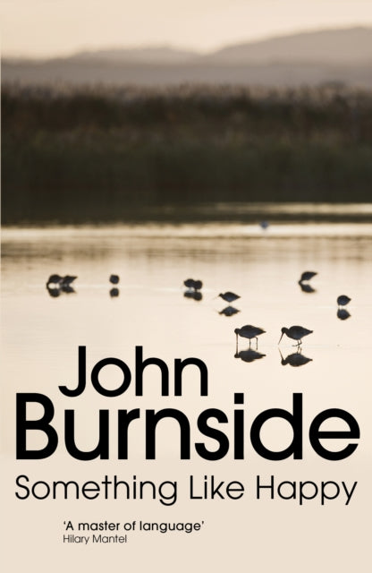Something Like Happy By Burnside, John