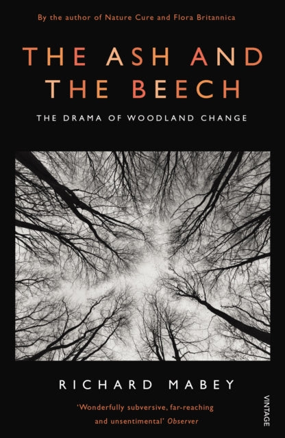 Ash & The Beech