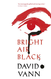 Bright Air Black By Vann, David