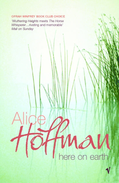 Here On Earth By Hoffman, Alice