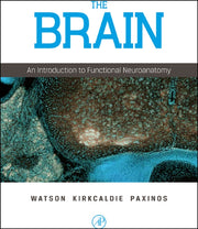 Brain, The