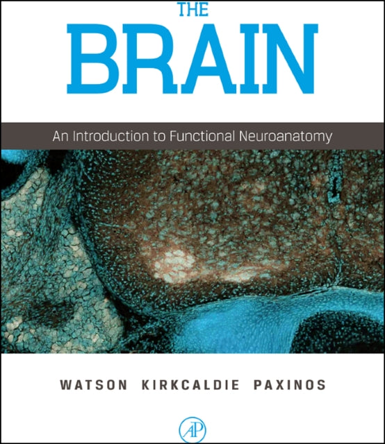 Brain, The