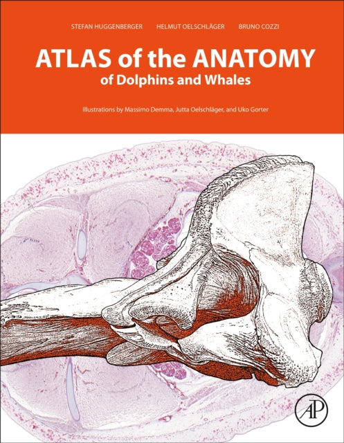 Atlas Of The Anatomy Of Dolphins & Whale By Huggenberger, Stefan