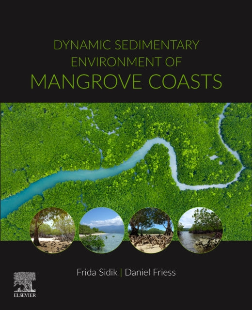 Dynamic Sedimentary Environment Of Mangr