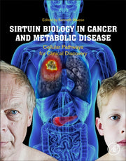 Sirtuin Biology In Cancer & Metabolic Di By Maiese, Kenneth