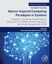 Nature-inspired Computing Paradigms In S
