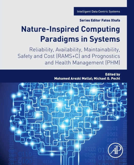 Nature-inspired Computing Paradigms In S