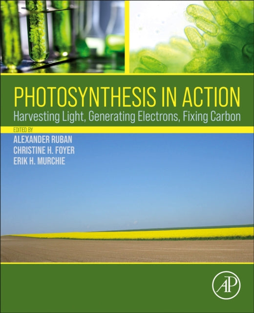 Photosynthesis In Action