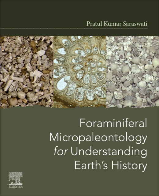 Foraminiferal Micropaleontology For Unde