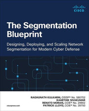 Segmentation Blueprint By Raghunath, K Et Al