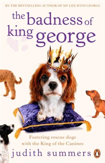 The Badness Of King George By Summers  Judith