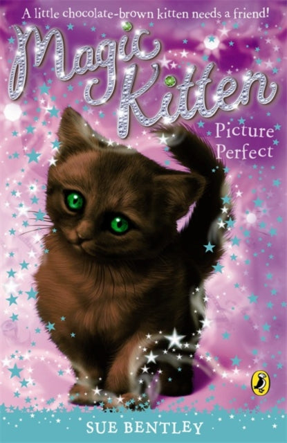 Picture Perfect Magic Kitten