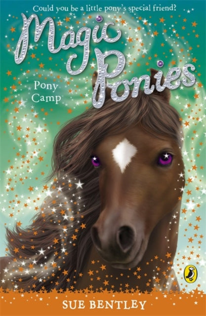 Pony Camp 8