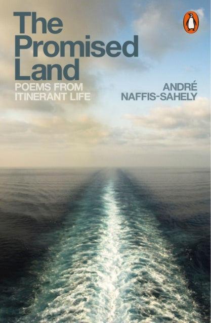 Promised Land By Naffis-sahely, Andre