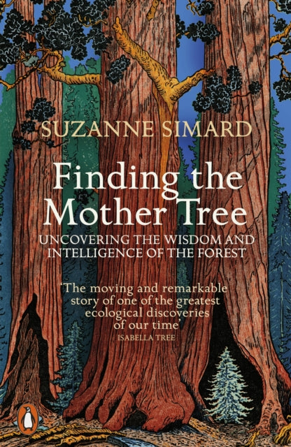 Finding The Mother Tree
