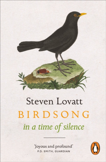 Birdsong In A Time Of Silence By Lovatt, Steven