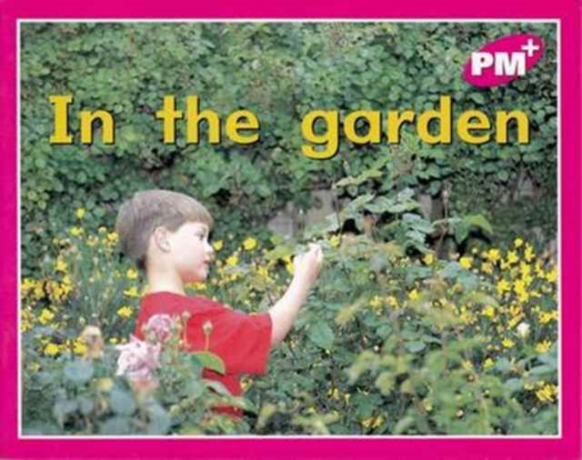 Pm Magenta: In The Garden Pm Plus Starte