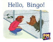 Pm Magenta: Hello, Bingo! Pm Gems Level