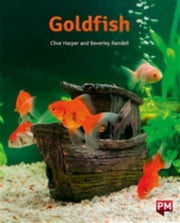 Pm Orange  Goldfish N/fic Lev16