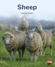 Pm Purple: Sheep Pm Non-fiction Levels By Randell, Beverley