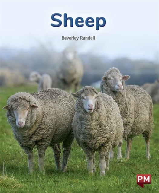 Pm Purple: Sheep Pm Non-fiction Levels By Randell, Beverley