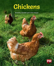 Pm Purple: Chickens Pm Non-fiction Level