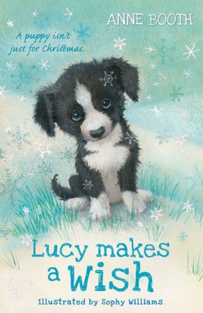 Lucy Makes A Wish
