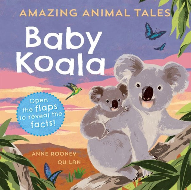 Baby Koala