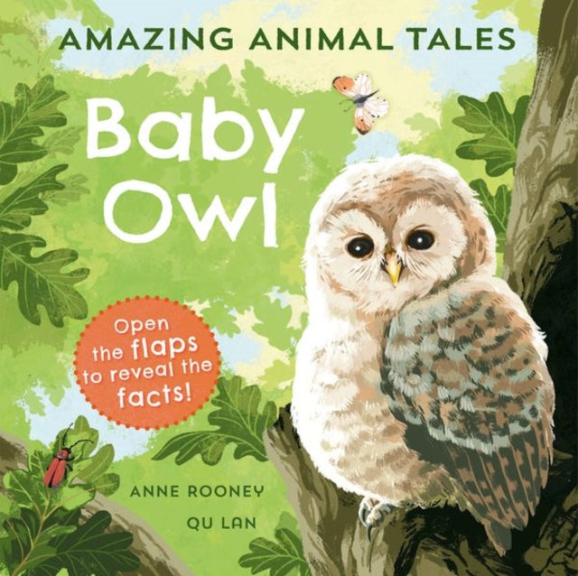 Amazing Animal Tales Baby Owl
