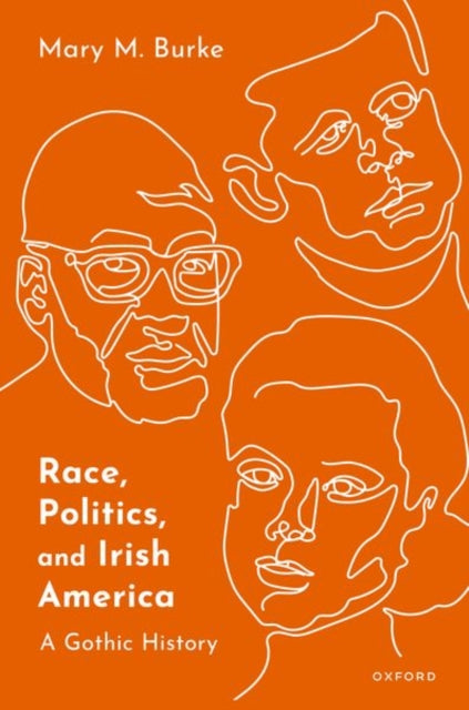 Race Politics And Irish America