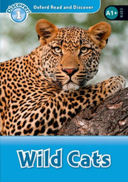 Ord 1 Wild Cats