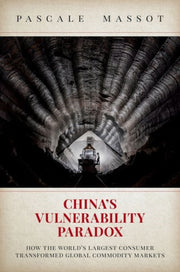 Chinas Vulnerability Paradox