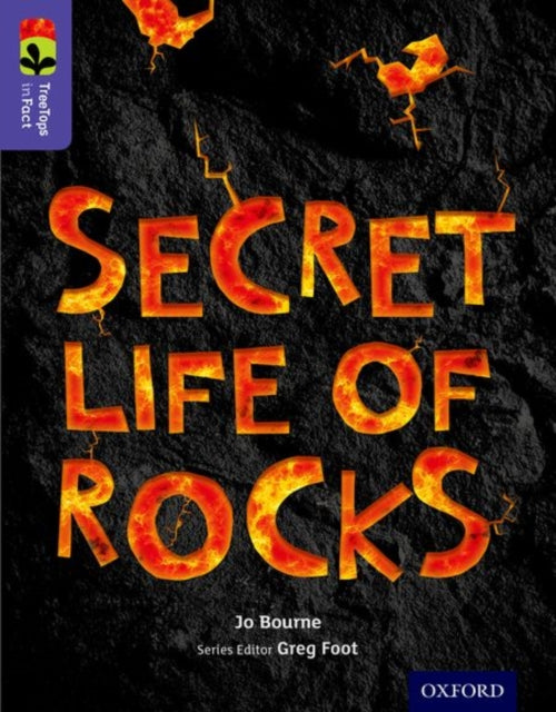 Orttree Infact Lev 11 Secret Life Rocks