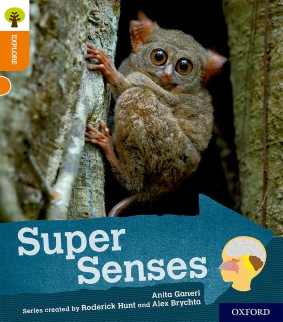 Ortewbckl6super Senses