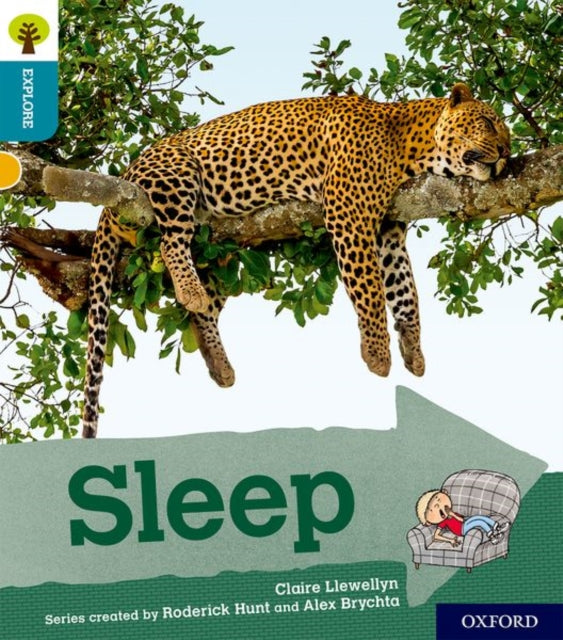 Ortewbckl9sleep